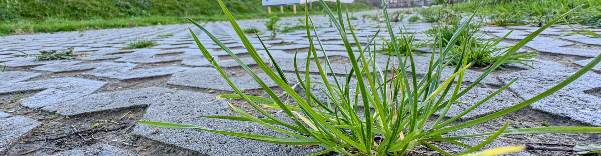 Groen parkeren - Hoeve 't Lammeke