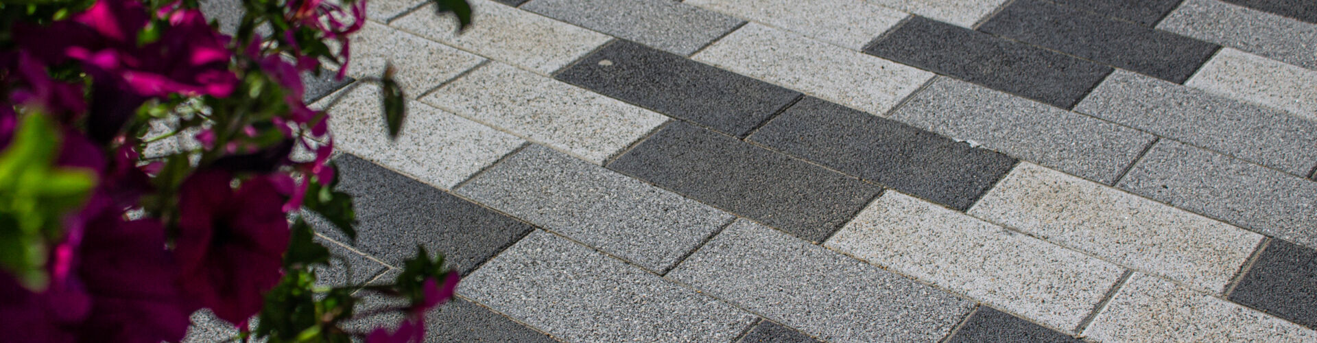 Euryzaterrein, Zwijndrecht