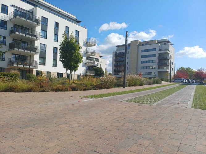 Whats App Image 2026 01 16 at 10 06 54 1