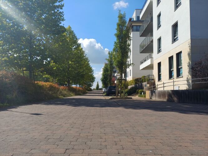 Whats App Image 2026 01 16 at 10 07 59 1